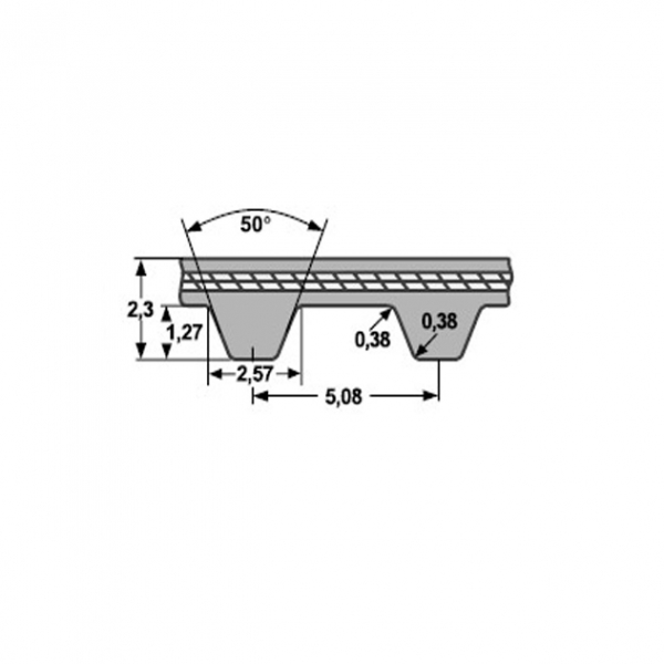 Belt for coin counting and sorting machine TOP1 and TOP2